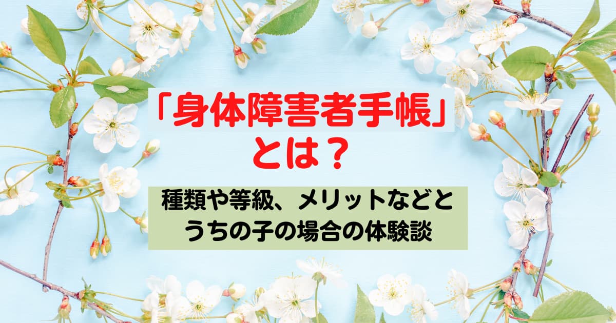 身体障害者手帳とは